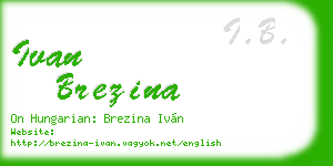 ivan brezina business card